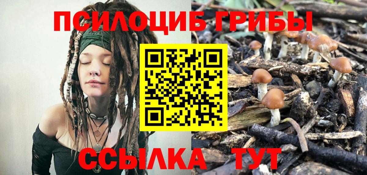 Галлюциногенные грибы ЛСД  Псилоцибиновые грибы Magic Shrooms  Вход с VPN  Дагестанские Огни 